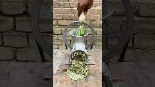 Meat Grinder VS Vegetable Experiment [upl. by Eeliak]