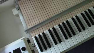 Whats Inside My Mellotron  M4000D [upl. by Kalil]