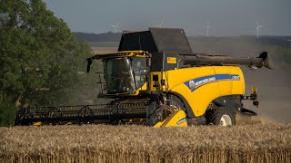 Moisson du blé et stockage à la ferme en Picardie  New Holland CX890 [upl. by Adaran]