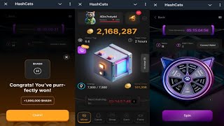 HashCats  New Feature Helps You Earn More HASH Coins Faster  Come Join Me  Telegram Crypto Bot [upl. by Jada]