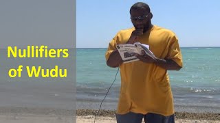 Basic fiqh  Nullifiers of Wudu  Khalid Green [upl. by Etep]