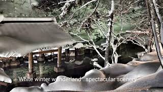 Takaragawa Onsen Gunma  Japan Jan 2023 a magical onsen experience [upl. by Sonitnatsok]