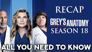 Grey´s Anatomy  Season 18 Recap  All you need to know [upl. by Ayouqat]