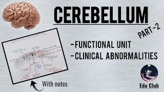 Cerebellum  Functional Unit  Clinicals  QNA  PG  Part 22 [upl. by Codee]