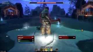 ESO PTS Maelstrom Arena 15  Stamina Templar [upl. by Mosier]