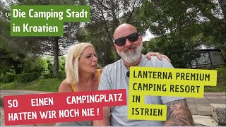 Ein Platz zum verlaufen 😀 Lanterna Premium Camping Resort in der Nähe von Novigrad [upl. by Bond13]