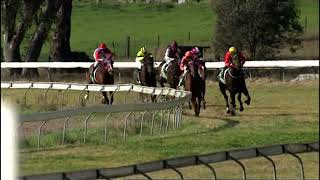 Gulgong 9 june 2024 race 1 [upl. by Okika603]