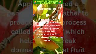 The Hidden Secrets of Apples Uncovering Surprising Facts Apples UnknownFacts AppleOrigins [upl. by Nahguav]