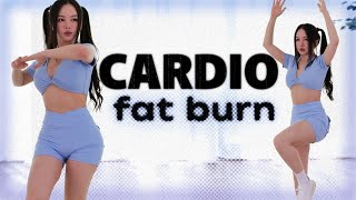 20 min Cardio Workout for Fat Burn  beginner friendly no lunges no repeats [upl. by Maxim]