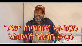 ገዲም ስነጥበበኛ ኣቶብርሃን ኣስመላሽ ጉልባበይ ይቀልዕ ኣሎኹ ኢሉ [upl. by Shuping]