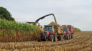 😍 1 JOURNÉE à lENSILAGE de MAÏS 2022 DANS LE PAS DE CALAIS  🌽 [upl. by Ecille]