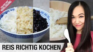 Reis richtig kochen im Topf und Reiskocher  Reissorten  100000 Abonnenten Special [upl. by Moria355]