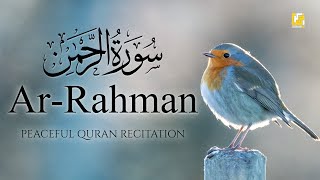 Surah ArRahman سورة الرحمن  This Voice will TOUCH your HEART إن شاء الله  Zikrullah TV [upl. by Amye]