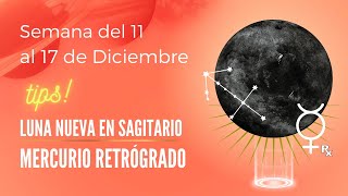 LUNA NUEVA EN SAGITARIO Y MERCURIO RETRÓGRADO ✅ Astrología del 11 al 17 de DICIEMBRE [upl. by Claudianus]