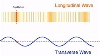 introduction of Transverse waves and Longitudinal waves [upl. by Tristas]