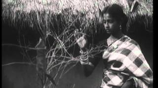 Kalyani amp Pranab Patnaik sings Mun Ta Kularu Heli Bahara in Odia Movie Mala Janha1965 [upl. by Pitt]