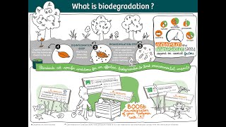 What is biodegradability [upl. by Attalanta]