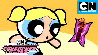 Bubble and The Evil Butterfly  Classic Powerpuff Girls Mega Compilation  Cartoon Network [upl. by Une388]