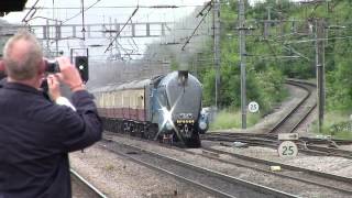 LNER Class A4 4464 Bittern THE EBOR STREAK [upl. by Henni]