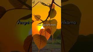 Nang bochi 💝  New Garo song whatsapp status 🌹 [upl. by Towbin]