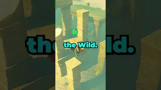 The CRAZIEST Attack In Zelda totk shorts botw [upl. by Casia557]