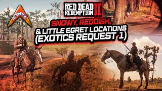 RDR2  Snowy Reddish amp Little Egret Locations Exotics Request 1 [upl. by Nwaf]