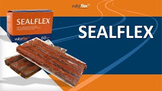 SEALFLEX [upl. by Haggi]