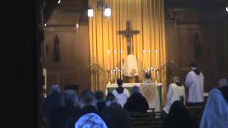 Benediction of the Blessed Sacrament [upl. by Yannodrahc]