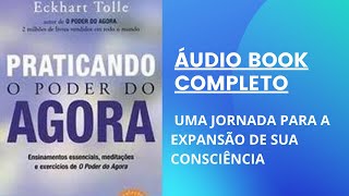 ÁUDIO BOOK PRATICANDO O PODER DO AGORA ECKHART TOLLE áudio completo [upl. by Zandt662]