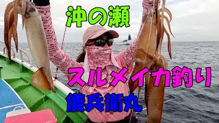 沖の瀬のスルメイカ釣り 【スルメイカ釣り】【直結仕掛け】 [upl. by Sllew]