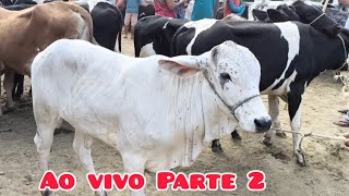 AO VIVO NA FEIRA DO GADO DE CAMPINA GRANDE PARAÍBA 30102024 [upl. by Medwin262]