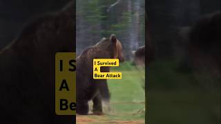 quotStudent Group Narrowly Escapes Bear Attack🐺🐺 During Wilderness Tripquot cute​ cat​ youtubeshorts [upl. by Eilyak]