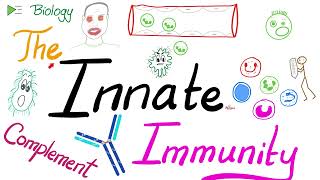 The Innate Immunity and the Complement System  Immunology [upl. by Nalla440]