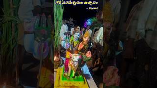 గౌరీ పరమేశ్వరుల ఉత్సవం కలగాడ VZM Gowrammautsavam apparaokingdom shorts [upl. by Oirevas]