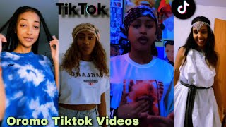 Sirba afaan oromoo haaraa 2023 Oromo music  Oromotiktok [upl. by Htial999]