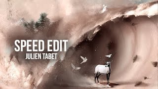 Julien Tabet  SPEED EDIT  The End will be Fun [upl. by Carrick]