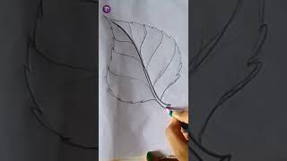 how to draw a leaf easyleaf drawing [upl. by Nirred]