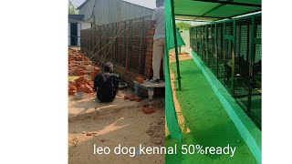 LEO DOG KENNAL GUJRAT 01 50 READY 💪🐕‍🦺⛓️🐕‍🦺⛓️youtubeshortsrottweiler americanbullydogbreeddog [upl. by Newfeld229]