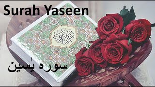 Surah Yasin Yaseen  By Abdul Aziz Abdullah Al Hamri Full With Arabic Text 36 سورہ یس Episode 1 [upl. by Atalayah]