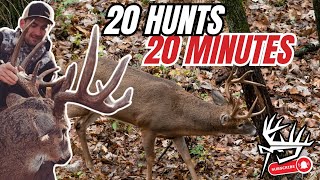 20 Bow Hunts 20 Minutes [upl. by Rimisac]