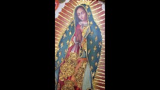 Virgen de Guadalupe  Pintura Cusqueña  Sedamanos Art [upl. by Pauletta]