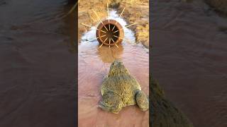 Survival Skills Simple and Useful with Clay Frog Trap survival bushcraft camping shrots [upl. by Elroy113]