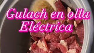 Olla eléctrica Gulach estofado o sudado de res en arrocera oster arroceraeléctrica olllamagica [upl. by Jd]