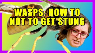 Wasps How To Not Get Stung with Beverly Barker [upl. by Eltrym]