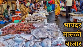 आता मासे स्वस्त झाले आहेत After Lockdown  भायंदर का बड़ा फिश मार्केट Big Fish Market In Bahayandar [upl. by Gereld939]