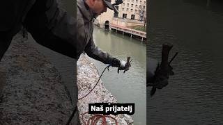 150 godina staro otkriće ⬇️🧲 find magnetfishing treasurefind treasure [upl. by Eatnahc]