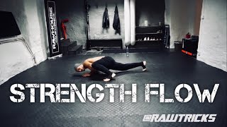 Strength Capoeira Flow training system [upl. by Ibbie158]