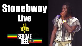 Stonebwoy Live  Reggae Geel Festival Belgium 2018 [upl. by Bainbrudge]