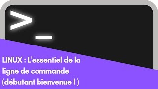 TUTO  LINUX  LA BASE DES LIGNES DE COMMANDES 🤖 [upl. by Laroc]