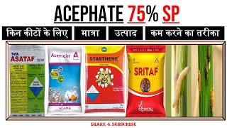 Acephate 75 SP प्रयोग  मात्रा  किन कीटों के लिए  कार्य करने का तरीका  Asataf Acemain Stritaf [upl. by Mcdonald195]